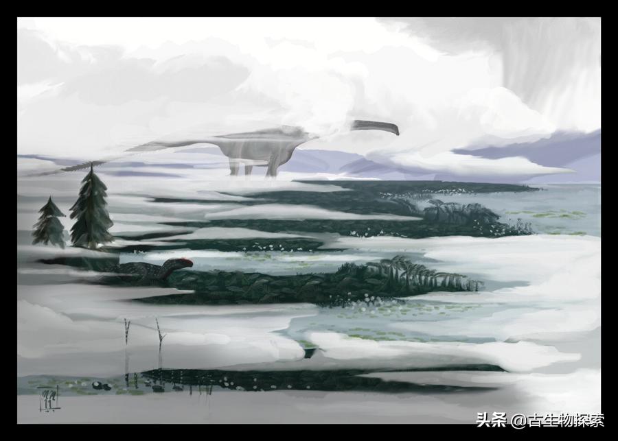 所有蜥脚类恐龙大小对比,各种蜥脚类恐龙大小体型比较