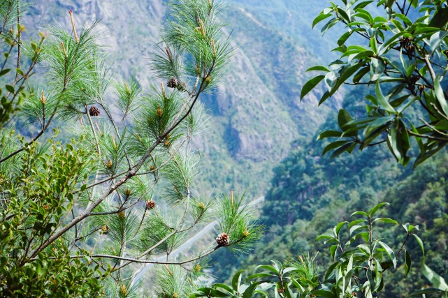 缙云仙都仙气飘飘的旅行胜地,缙云丽水好玩的地方