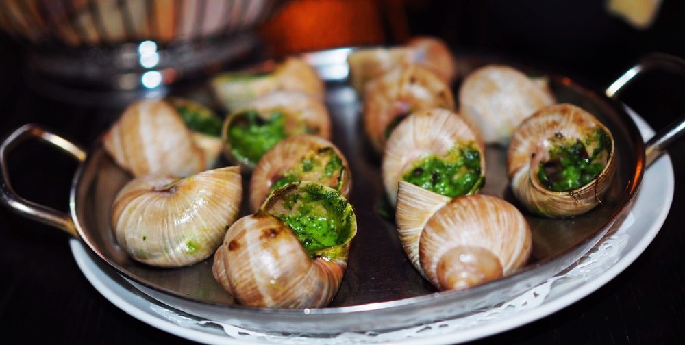 最大蜗牛入侵我国,南方到处是:非洲人的美食,中国人却不敢吃