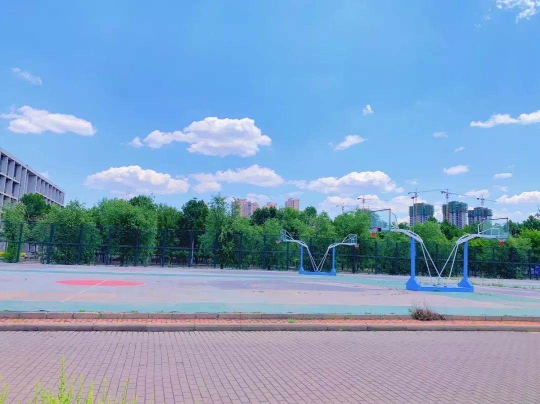 天津普通本科的大学,天津普通高校多少所大学