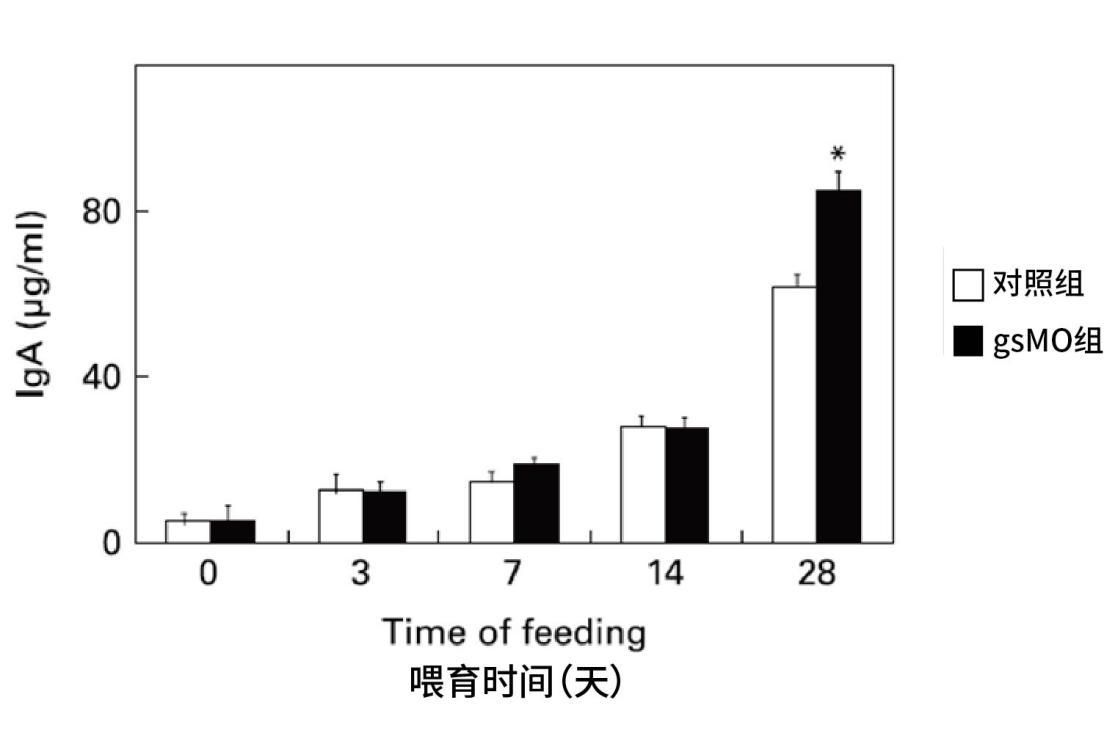宝妈必读之乳源双重活性因子gsMO²,宝宝的“肠道护卫军”