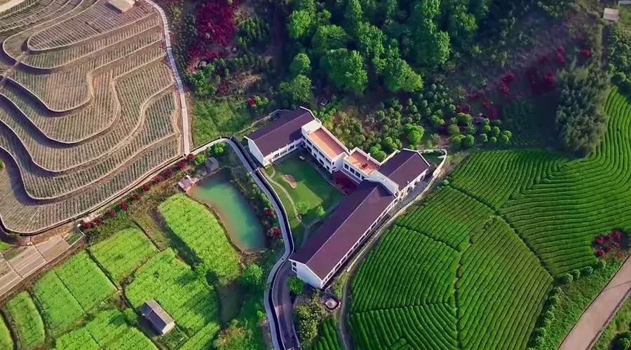 宁波复古小众酒店,宁波最有格调的酒店