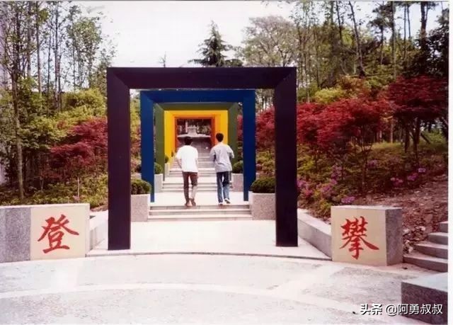 经验分享浙江第一名,浙江省诸暨中学怎样