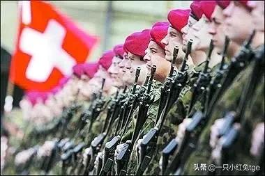 那些年给兔子整装备的西方国家「4」:瑞士