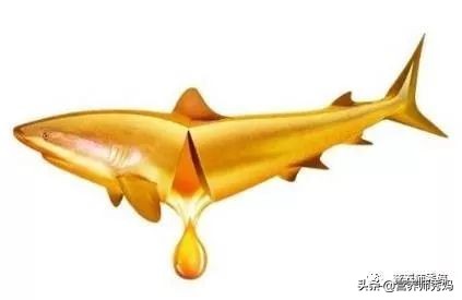 为什么不能给宝宝吃鳕鱼,为什么不能直接给孩子吃鱼肝油