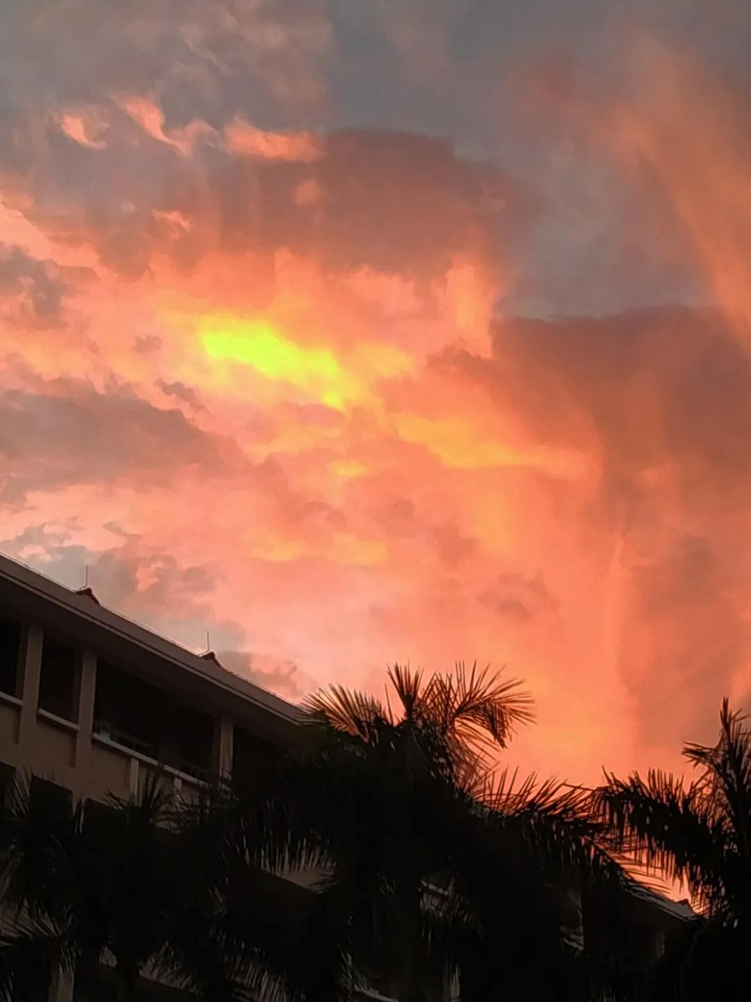 东莞市虎门外语学校中考喜报,东莞虎门外语学校2023高考喜报