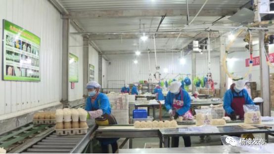 杨凌恢复正常出行,杨凌复工的最新通告