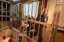 石头创业,石头创业项目