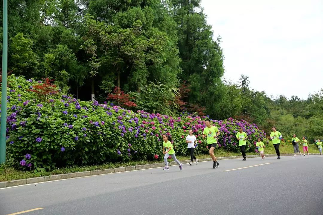 七里坪亲子跑,一场亲子健康跑触动了心灵深处
