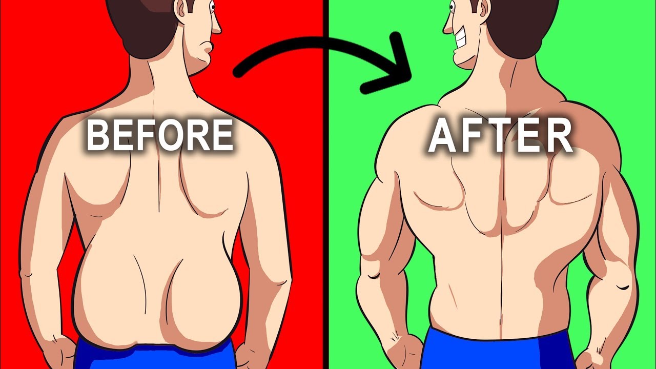 身上不胖脂肪多怎么解决,身上不胖腹部赘肉很多