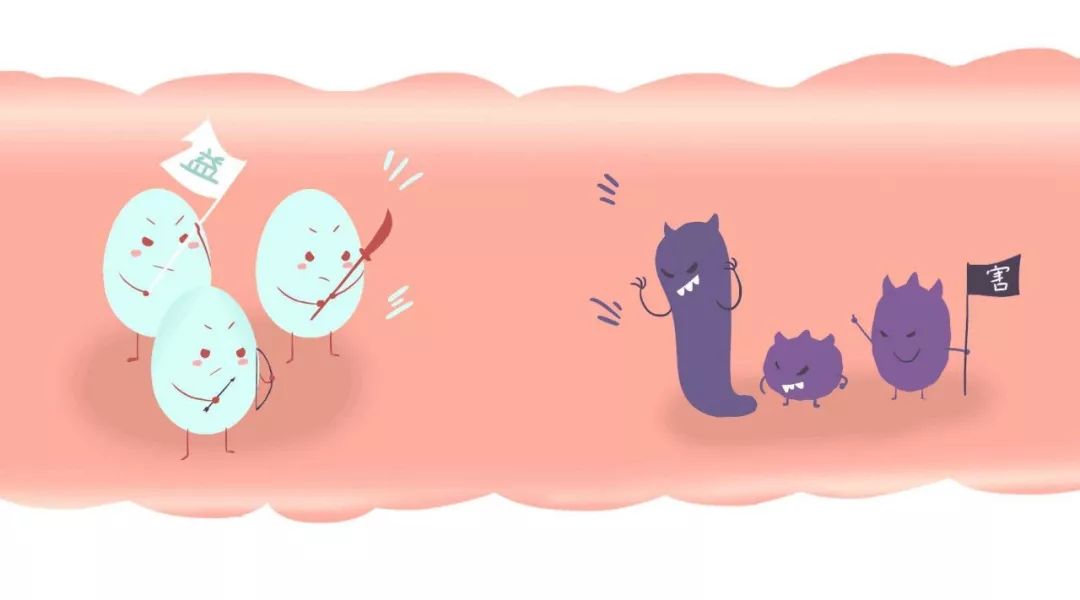 关于EGC身为铲屎官的你知多少?各种皮肤病都可能是EGC!