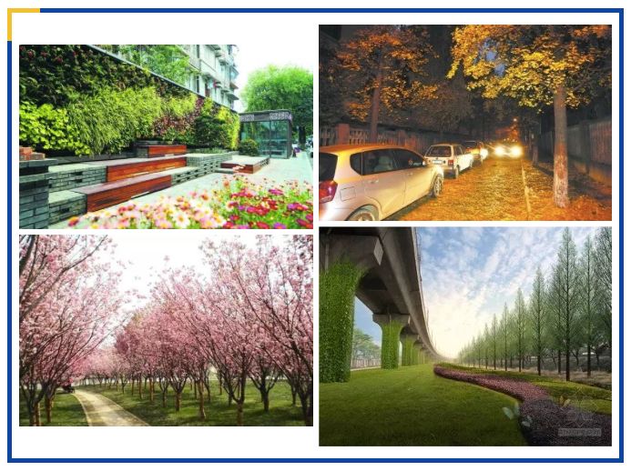 成都公园城市建设令人欣喜,成都打造世界级公园城市