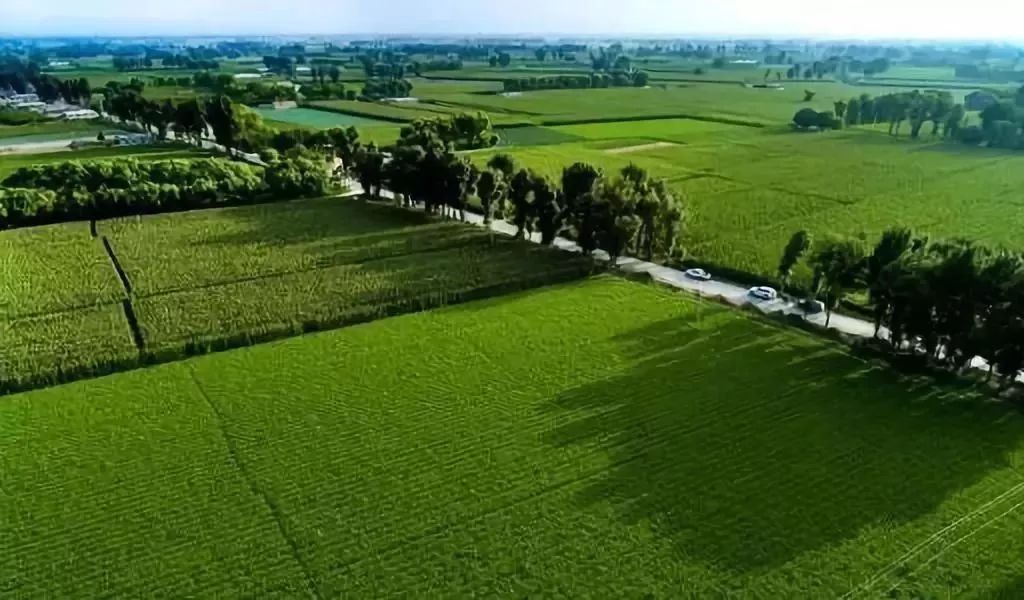 农村集体经济产权改革,农村集体产权制度改革农民宅基地