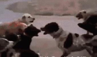 山海经中以乳为目以脐为口的怪物,山海经搞笑图片