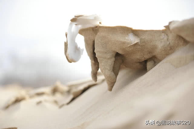 河北景区关闭最新通知,河北的景区关闭了吗