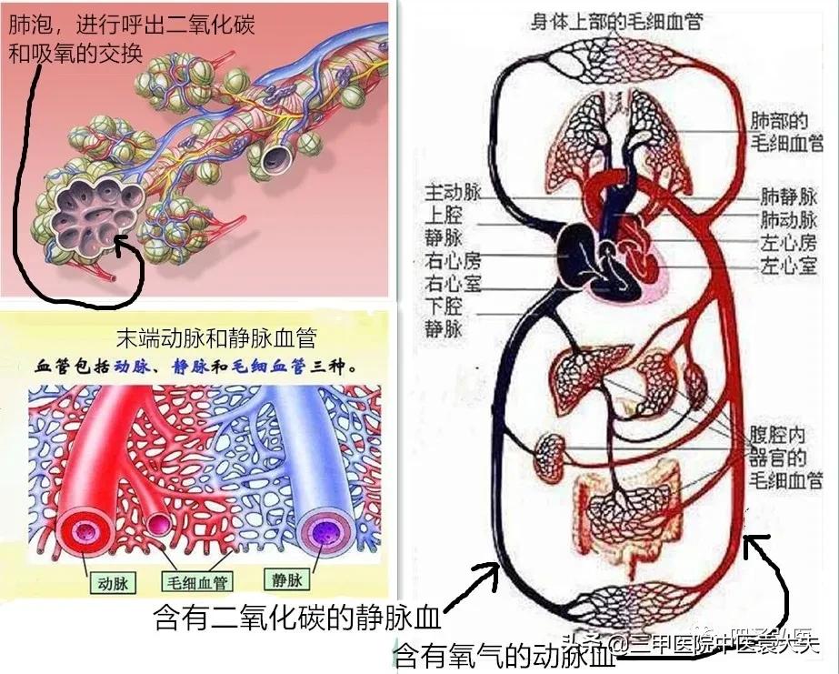 安倍晋三得溃疡性结肠炎怎么治,安倍晋三患溃疡性结肠炎多少年