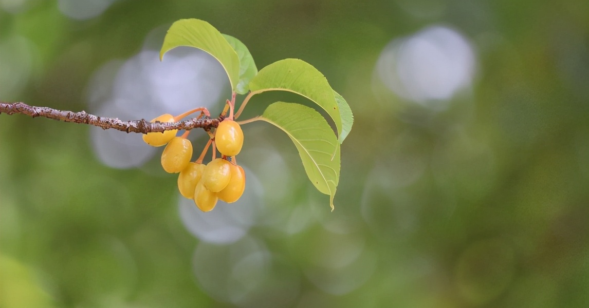 故事:追男神半月毫无进展,她正想放弃时,男神却要带她见家长了
