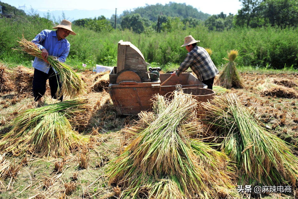 拼多多成功的秘诀是什么,拼多多的成功的秘诀有哪些