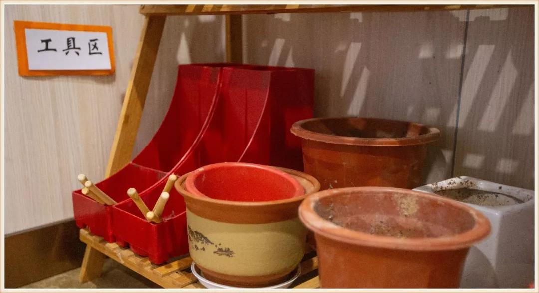 大班新学期环境创设实施方案,大大的小小的主题活动及环境创设