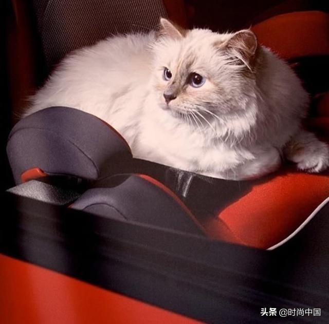 买不起香奈儿包包还可以买什么,买不起系列香奈儿