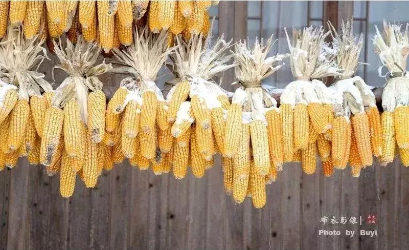 2天1夜旅游攻略成都耍雪,成都周边耍雪一日游攻略