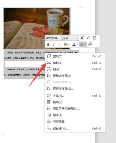 word中怎么调换两页位置,word文档文字如何上下对换