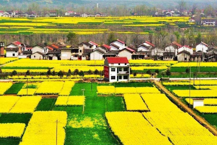 汉中国家级高铁枢纽,汉中哪个县有高铁机场