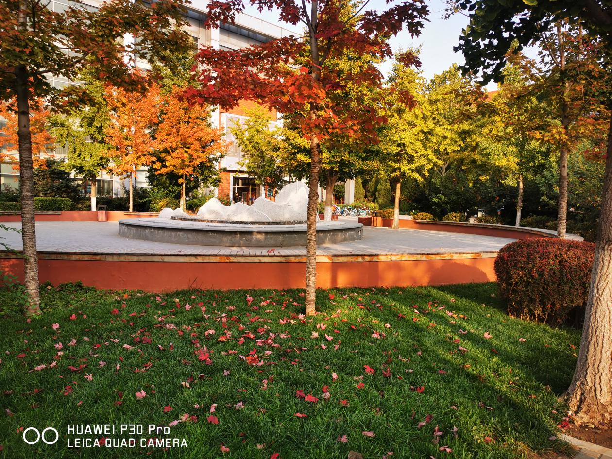 华为p30拍摄高清样张,华为p30最新拍照样张