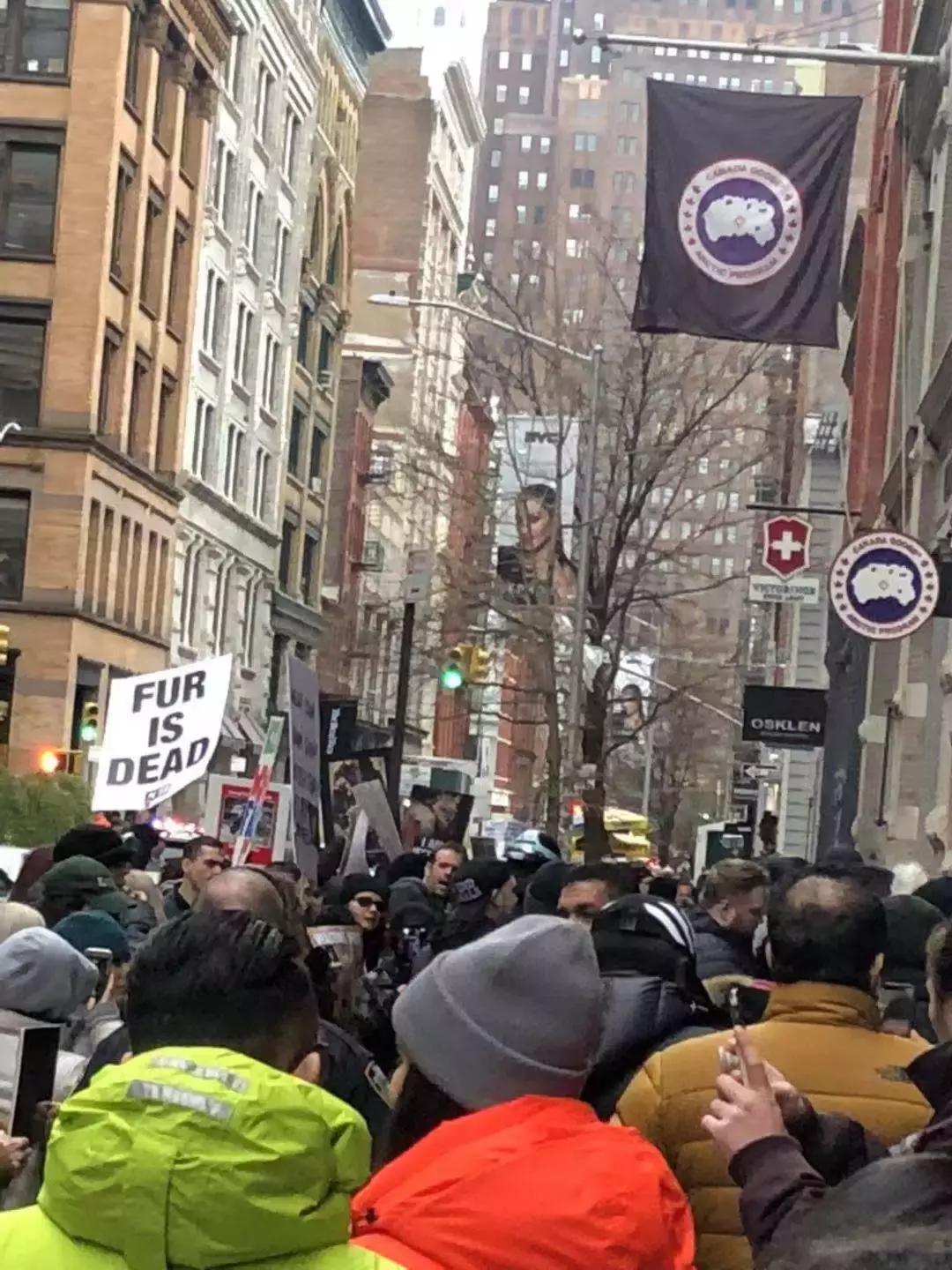 留学生注意!穿加拿大鹅危险了,有人专门抢穿鹅的亚洲人