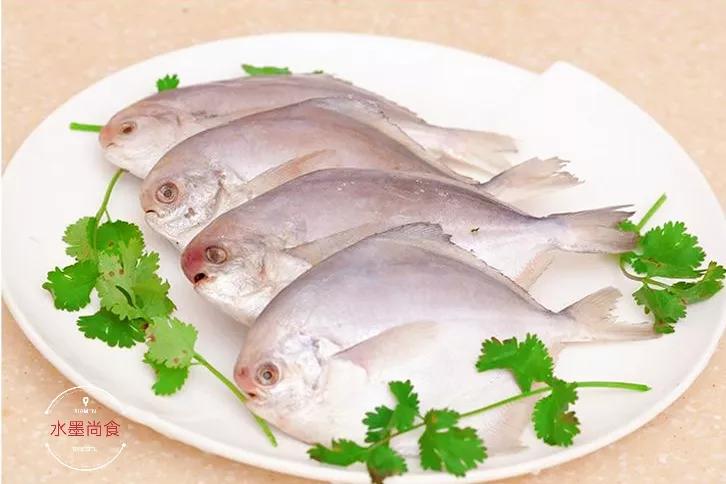 这5种常见海鱼都是野生捕捞,这个季节海鱼最肥美