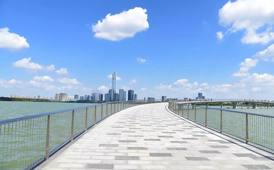 又双叒叕获奖啦,又双叒叕获奖了