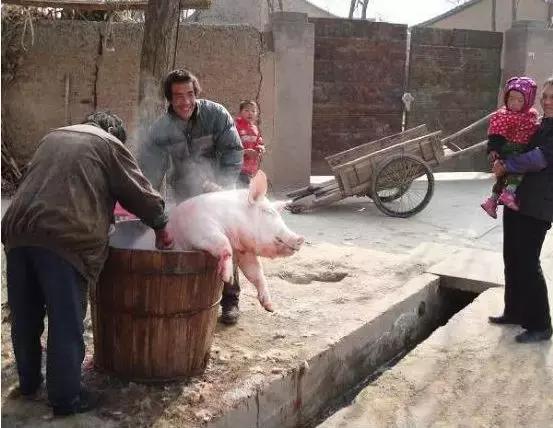 回忆童年8090过年情景,80后回忆童年过年真实视频