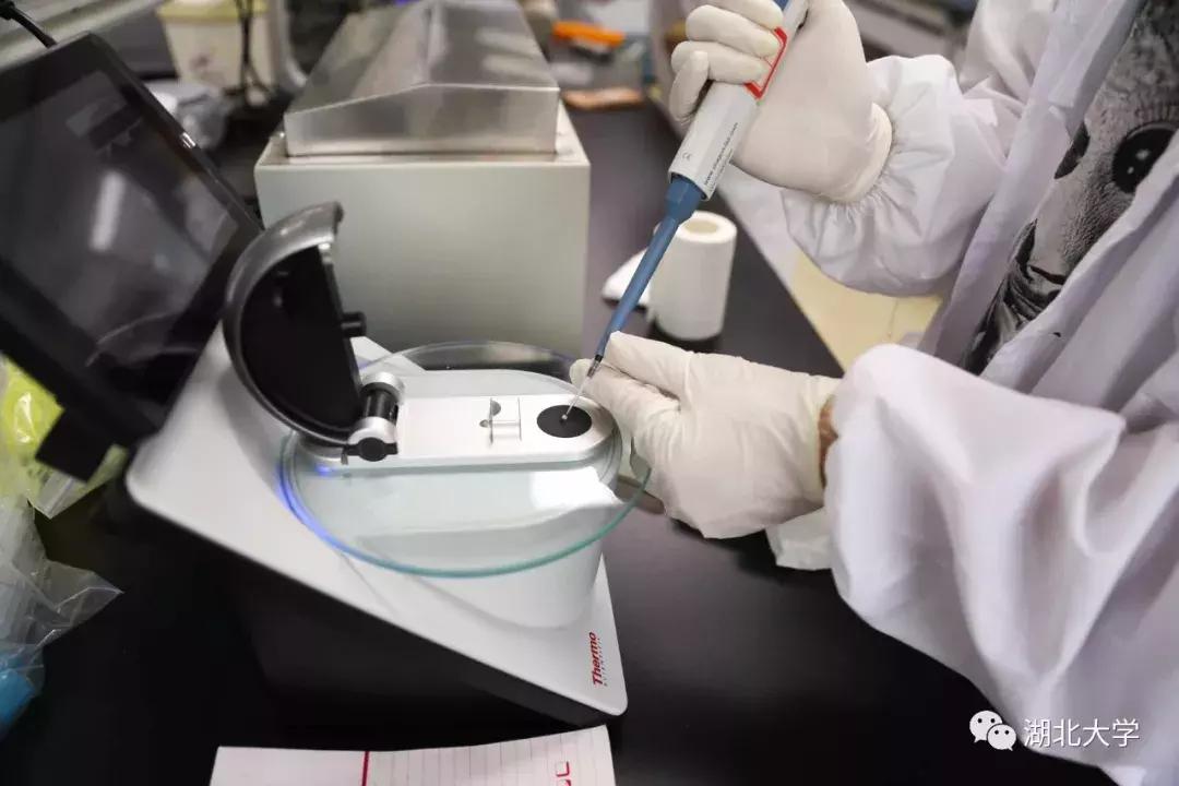 湖北大学开学第一天，湖大人上“新”了