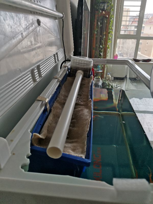 家庭自制鱼缸过滤器,自制鱼缸过滤器虹吸