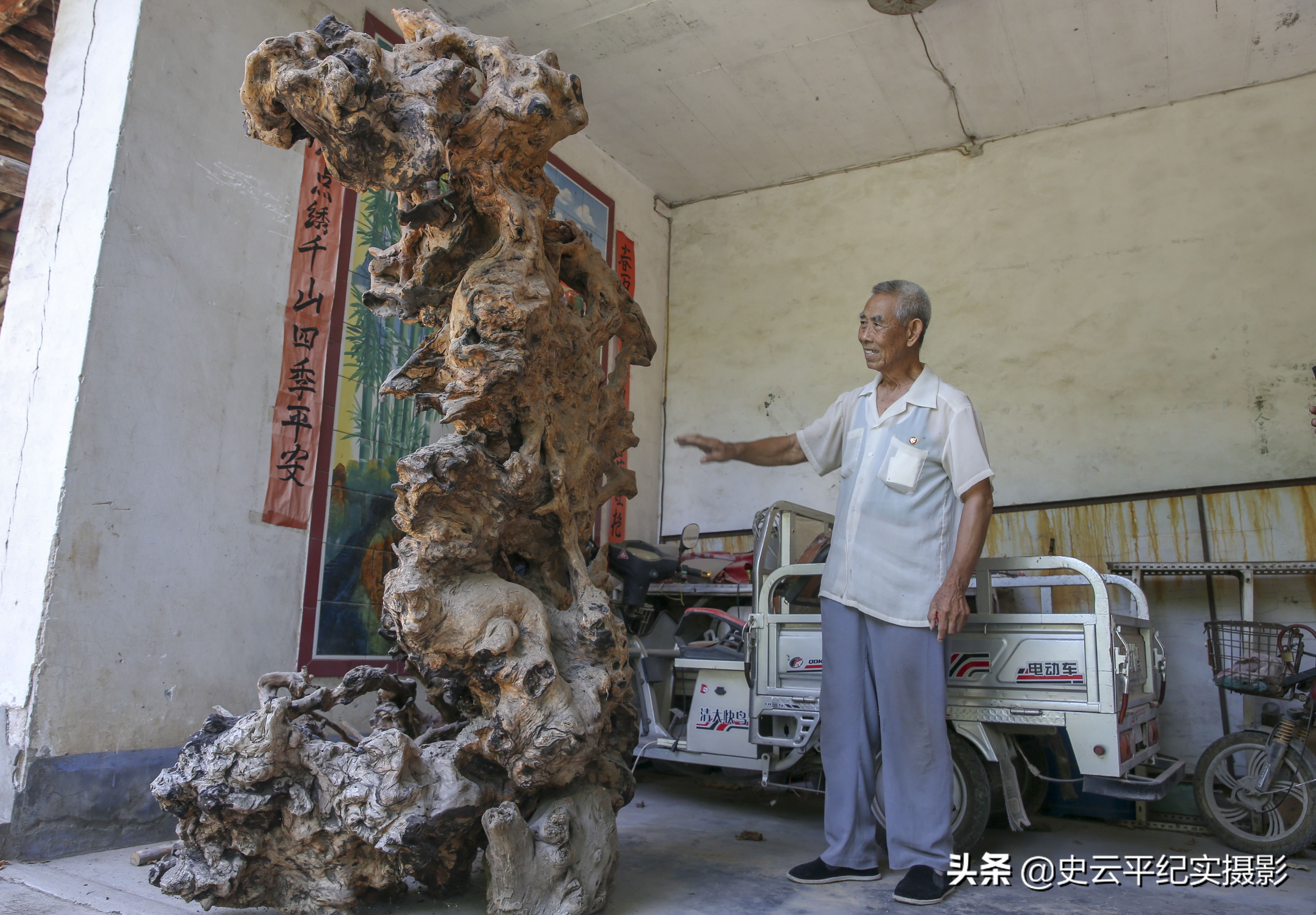 大爷捡到奇特树根视频,老汉意外发现人形树根