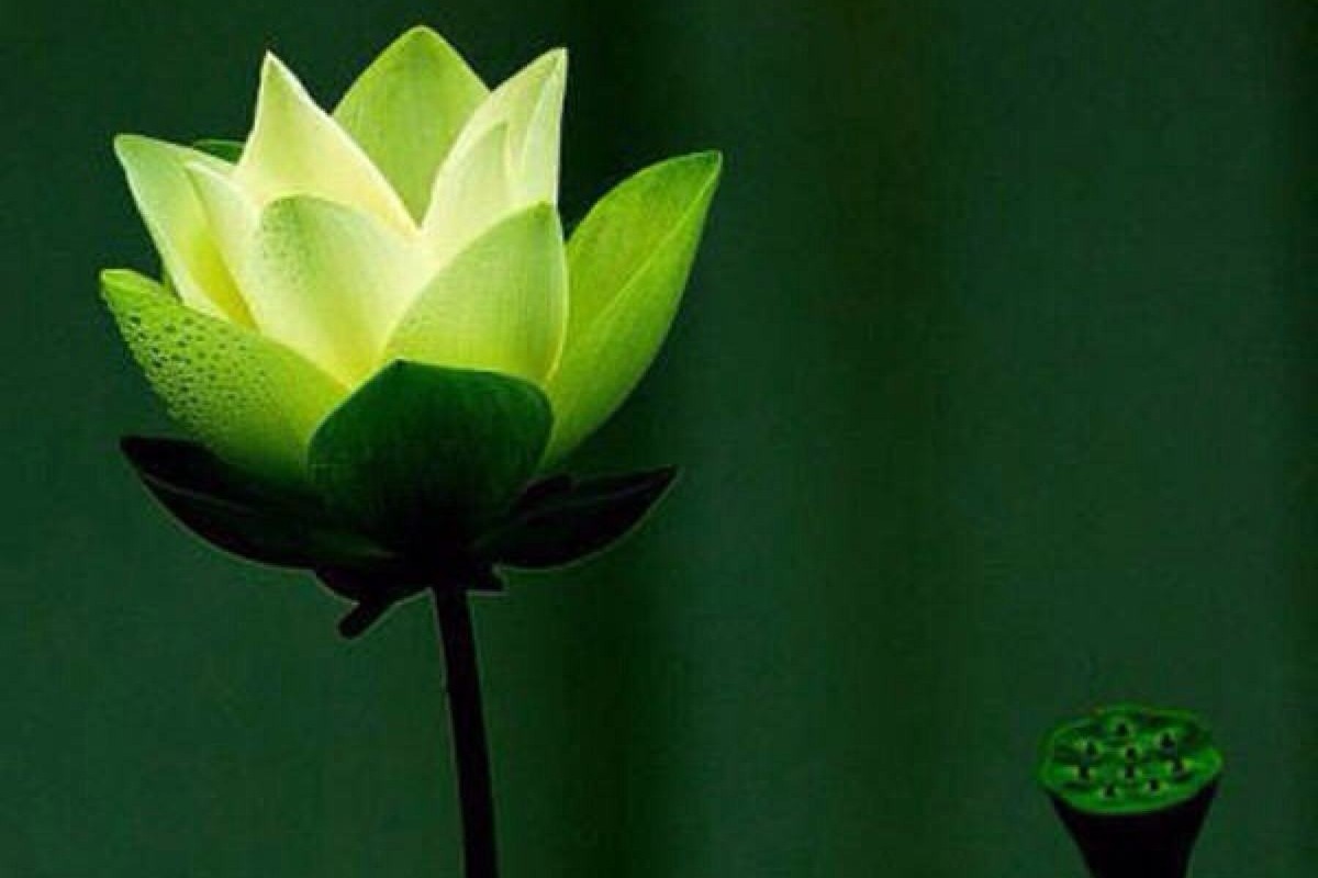 自以为是热心肠其实是缺心眼,自以为是多管闲事的人