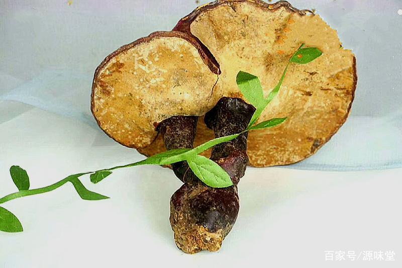 灵芝是药食两用的品种吗,菌类野生灵芝功效