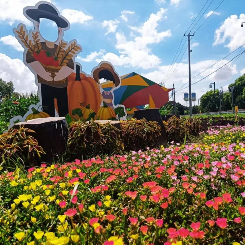 久居城市就会向往乡村的田园生活,向往的田园生活的感悟