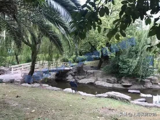 爱建园小区最好的楼盘,上海碧云爱建园复式