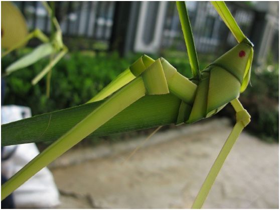 中国大爷惊艳国外,让外国人惊呆的中国大爷