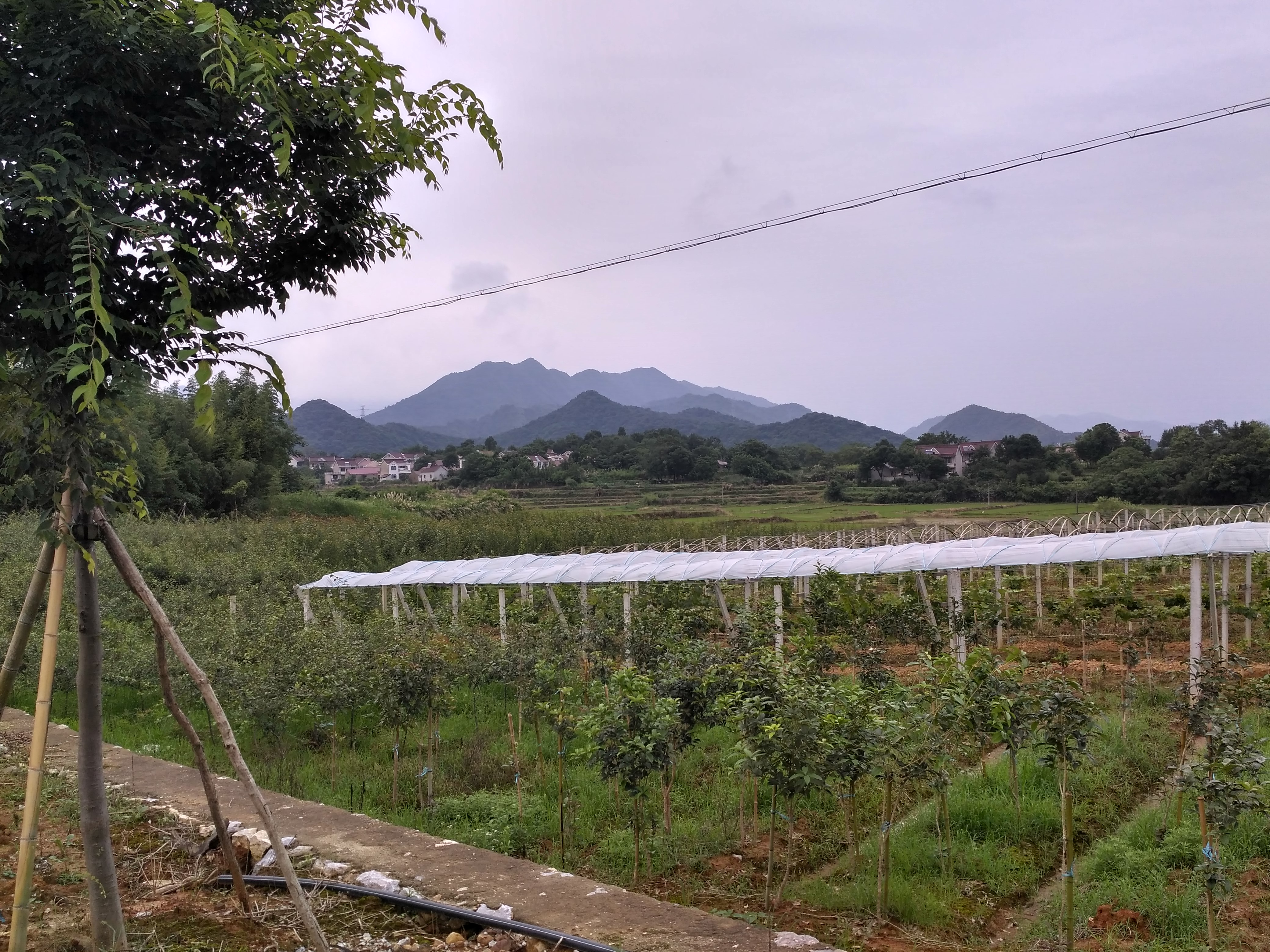 齐春生态园大概花多少钱,贵池齐春生态园