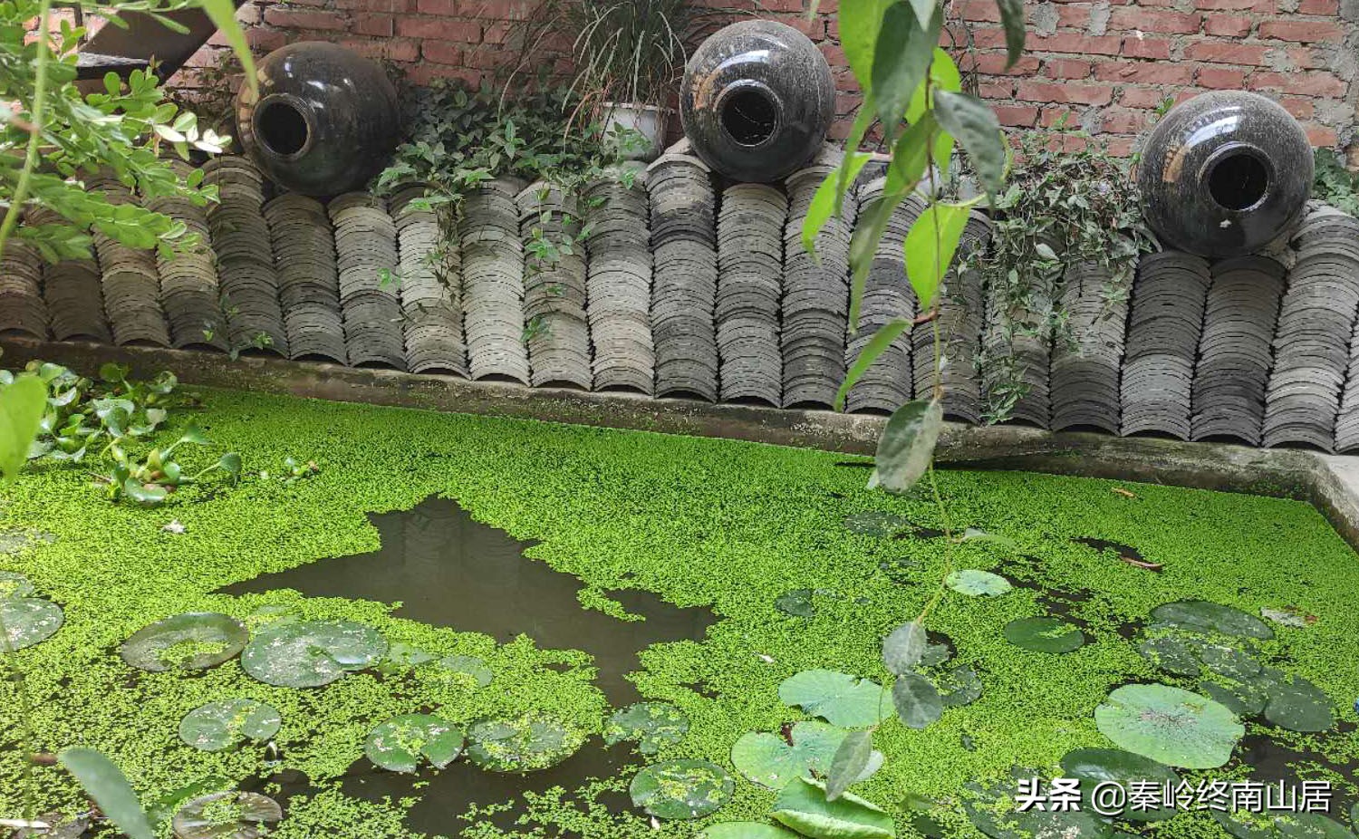 去秦岭库峪游玩，淘了几个老磨盘和石碾子，摆在院子里喝茶怎么样