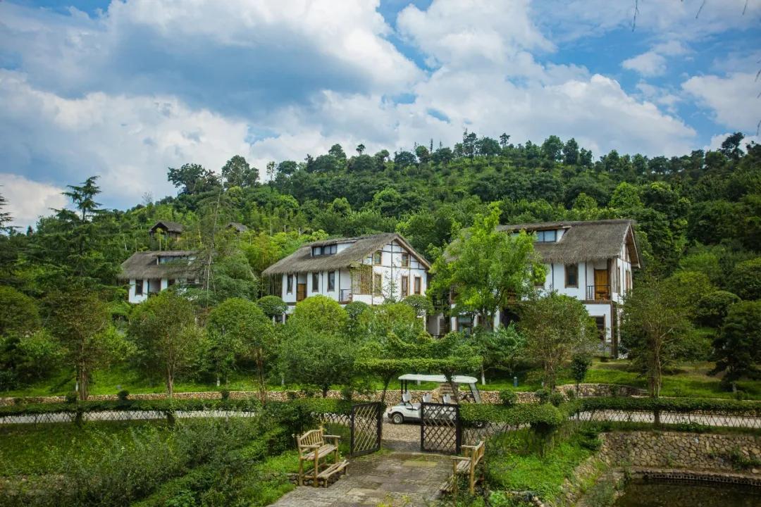 莫干山原木风绿野仙踪花园民宿,莫干山桃坡探险乐园绿野仙踪