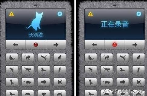 人猫交流真正实现了吗,猫咪交流软件真的有用吗