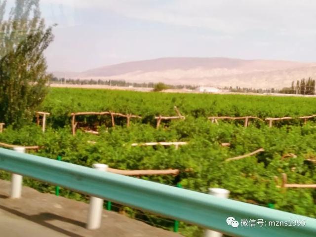 去库木塔格沙漠的感受,去新疆库木塔格沙漠最佳时间