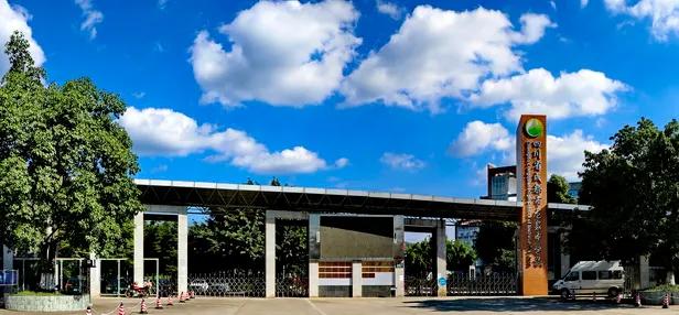 公办小学初中全面开花，龙泉的高中整体实力到底如何？