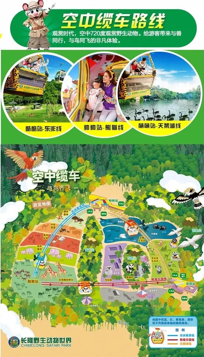 春节广州长隆野生动物世界攻略,广州长隆野生动物世界旅游攻略