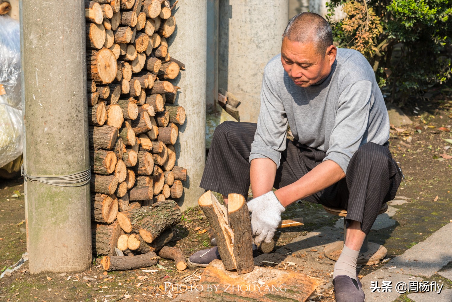 同里梦里水乡全景,同里古镇清晨视频