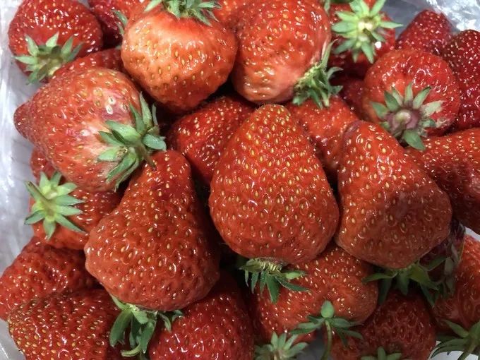 中国最大边境城市丹东风景,中国最美边陲小城丹东