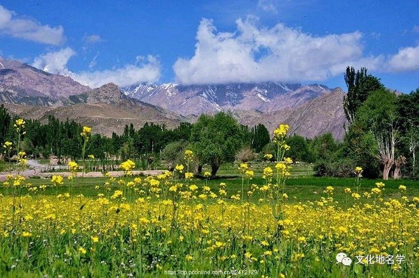 绐佸帴璇皯鏃忎负浣曞皻榛戣繕灏氱櫧,鏂扮枂鍥捐吘宕囨嫓